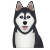 Perro icon