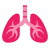 Lungs icon