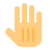 Ganze Hand icon