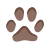 猫脚印 icon