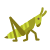 Grashüpfer icon