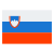 斯洛文尼亚 icon