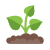 Sprout icon