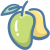 Fleshy fruit icon