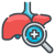 Liver icon