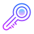 Password Key icon