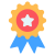 Star Badge icon