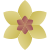 Spa-Blume icon