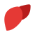 肝臓 icon
