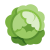 Cabbage icon