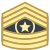 Команд-сержант-майор Армии США icon