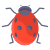 Lady Bug icon