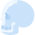 头骨 icon