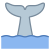 Coda di balena icon