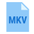 MKV icon