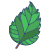foglie-di-ibisco-esterno-icongeek26-colore-lineare-icongeek26 icon