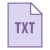 TXT icon