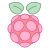 Frambuesa Pi icon