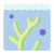 Coral icon