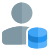 Data storage by a user for the company server icon