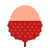 lychee icon