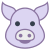 돼지의 해 icon