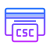 Код защиты CSC icon