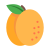 Apricot icon