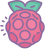 ラズベリーパイ icon
