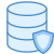 Data Protection icon