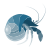 Hermit crab icon