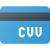 CVV icon