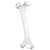 Bone icon