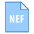 NEF icon