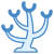 Coral icon