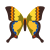 Machaon Butterfly icon