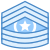 Command Sergeant Major CSM icon