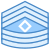 Primeiro Sargento 1SG icon