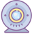 Cámara web icon