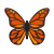 Бабочка монарх icon