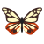 Parantica Sita Schmetterling icon