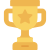 trophy icon