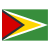 Guyana icon