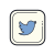 Twitter Squared icon