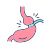 Gastric Bypass Surgery icon