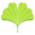 Ginkgo icon