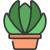 Echeveria icon