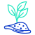 阳光下的植物 icon