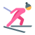 크로스 컨트리 스키 icon