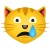 gato chorando icon